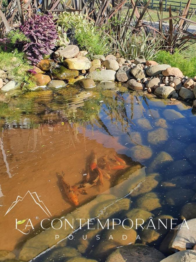 La Contemporânea Cabanas Urubici Exterior foto